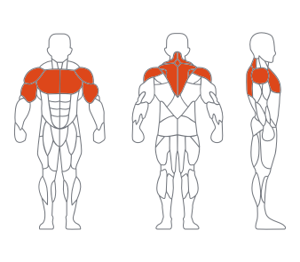 LD1007直臂夹胸 副本 LD1007直臂夹胸 副本