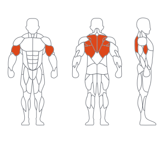 LS-004坐式划船练习器 LS-004坐式划船练习器