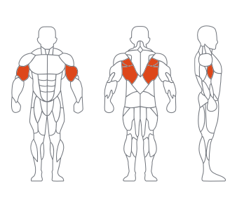 GL-7014低拉背练习器(染叶秋) GL-7014低拉背练习器(染叶秋)