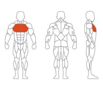 GL-7013蝴蝶机训练器(灰色) GL-7013蝴蝶机训练器(灰色)